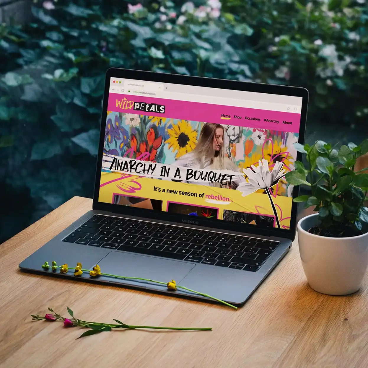 Wild Petals studio image 1